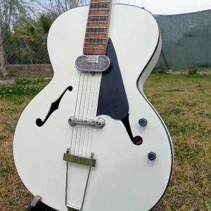 guitarras de culto_0000s_0033_Capa 30